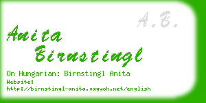 anita birnstingl business card